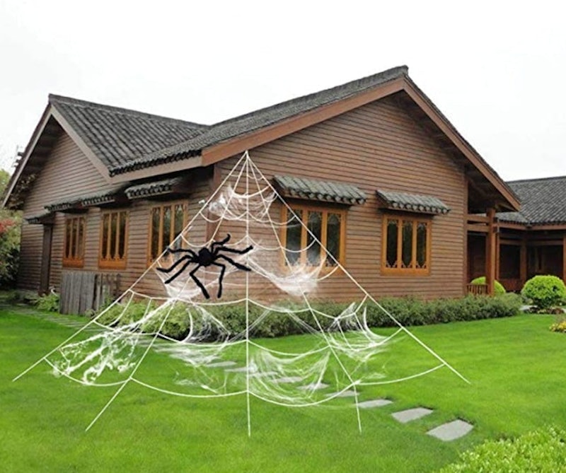 Stretch Cobweb With Spider 1