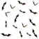 HOZZQ 3D Decorative Scary Bats 1