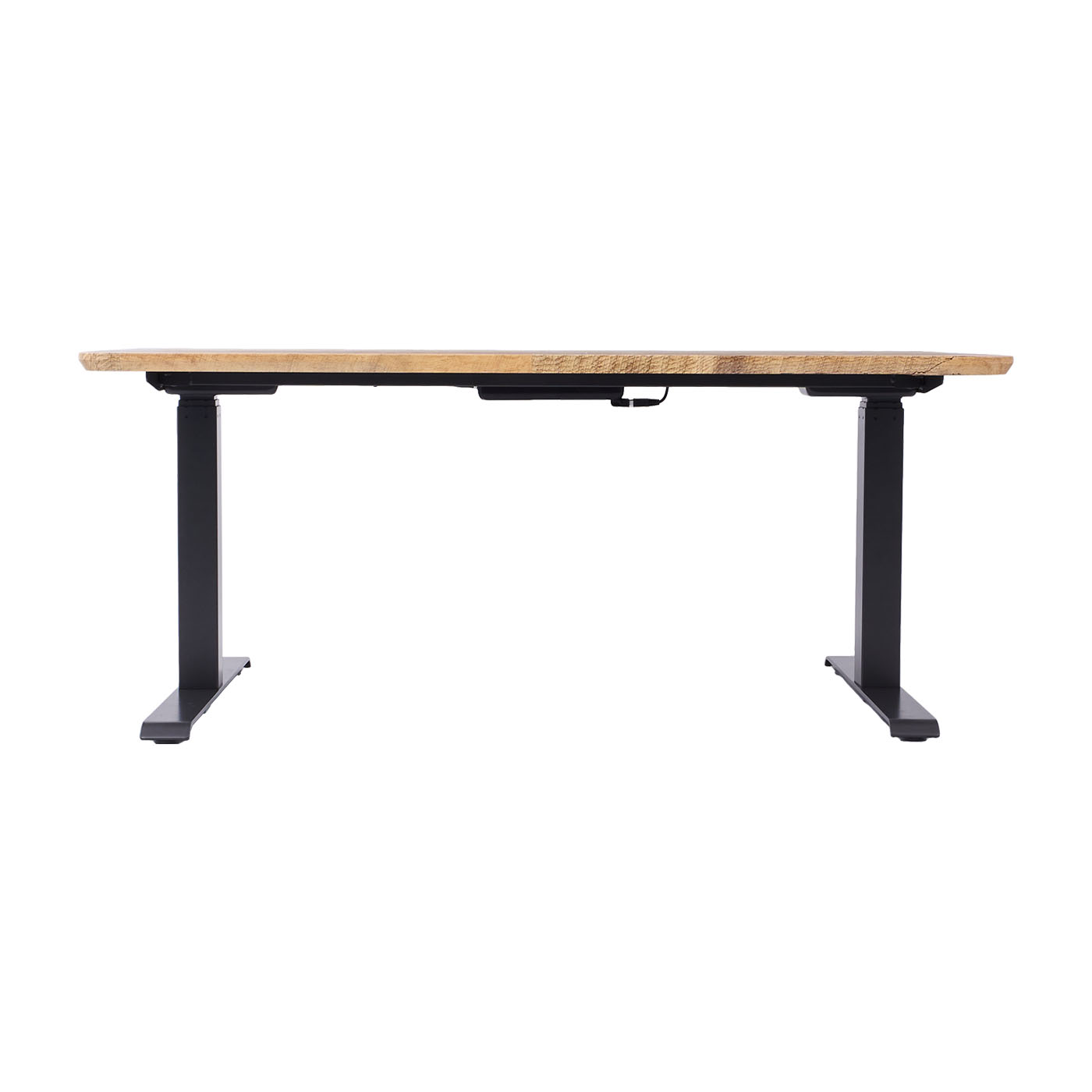 Electric Standing Desk 2