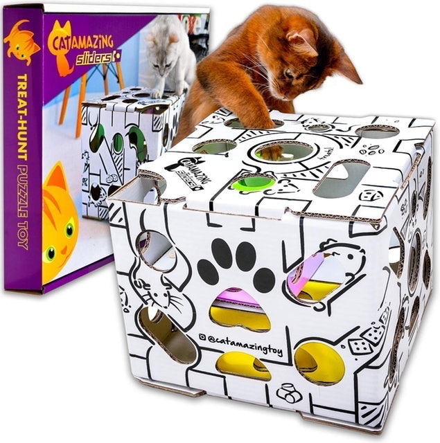 10 Best Cat Toys in 2022 (PetSafe, Petstages, and More) 5