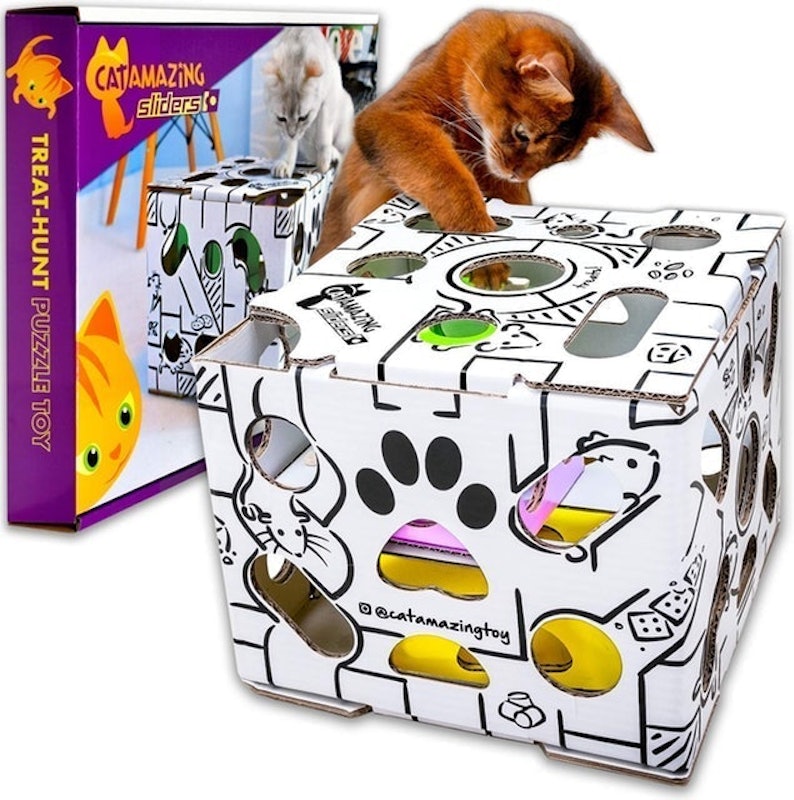 Sliders Treat-Hunt Puzzle Toy 1