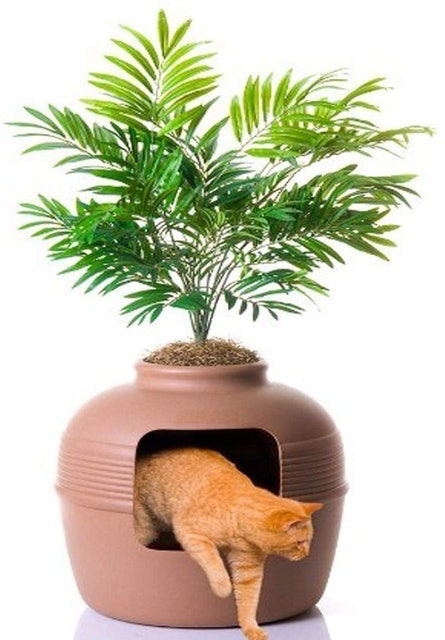 Plant Hidden Litter Box 1