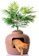 Good Pet Stuff Plant Hidden Litter Box 1