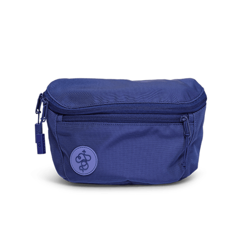 Fannypack 1