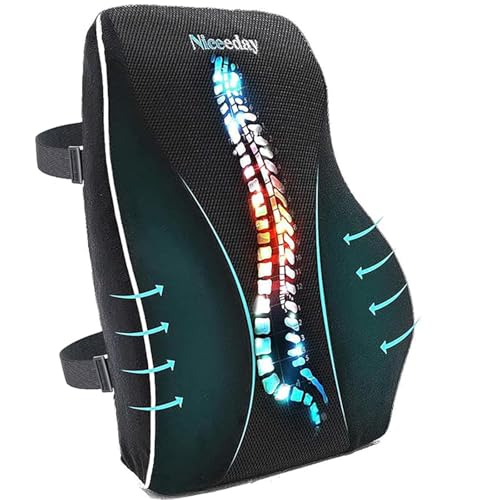 Lumbar Support Pillow 1