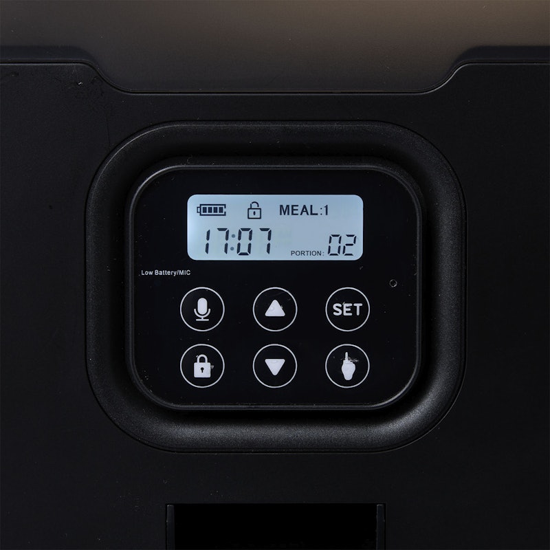 Automatic Cat Feeders for Two Cats 4