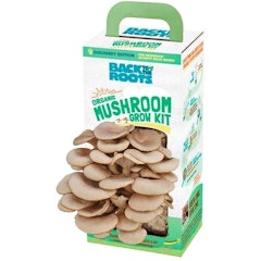 Organic Mushroom Growing Kit