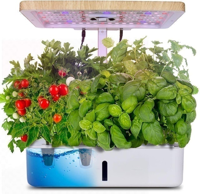 Hydroponics Indoor Gardening Kit  1