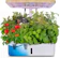 Moistenland Hydroponics Indoor Gardening Kit 1