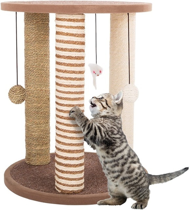 3-Pole Cat Scratcher 1
