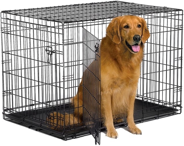 Folding Metal Dog Crate 1