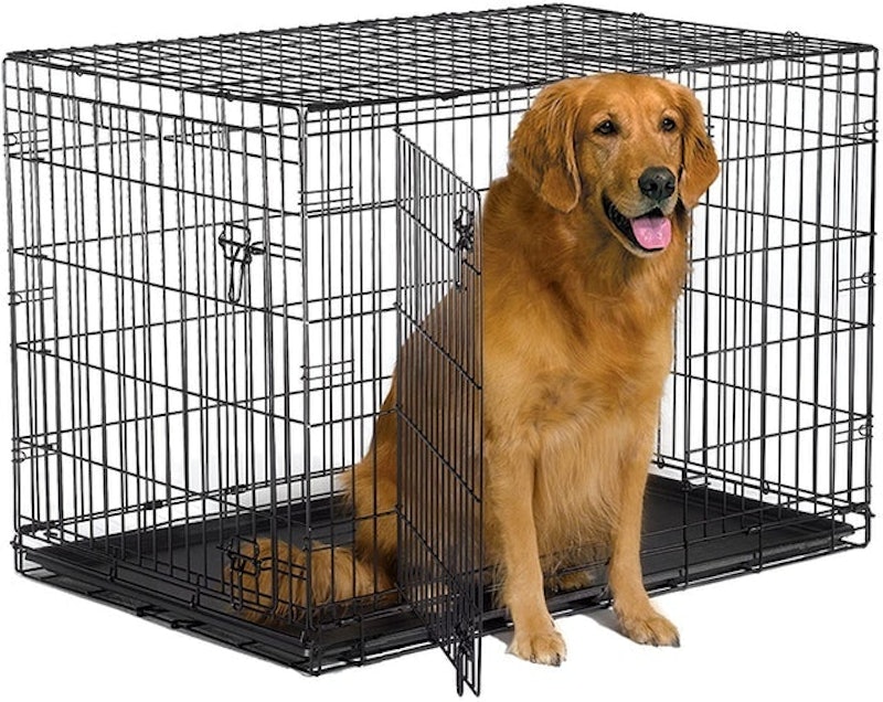 Folding Metal Dog Crate 1