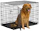 New World Folding Metal Dog Crate 1