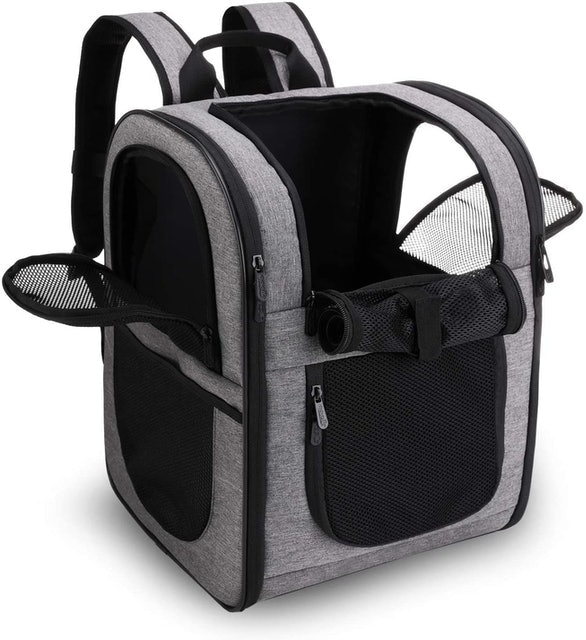 10 Best Dog Carrier Backpacks in 2022 (Dog Adventure Blogger-Reviewed) 3