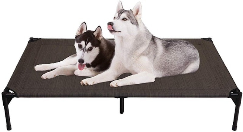 Elevated Portable Dog Bed 1