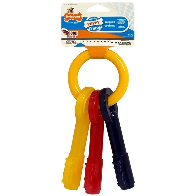 Nylabone Puppy Teething Keys 1
