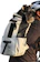 K9 Sport Sack Front Facing Adjustable Dog Backpack Carrier 1