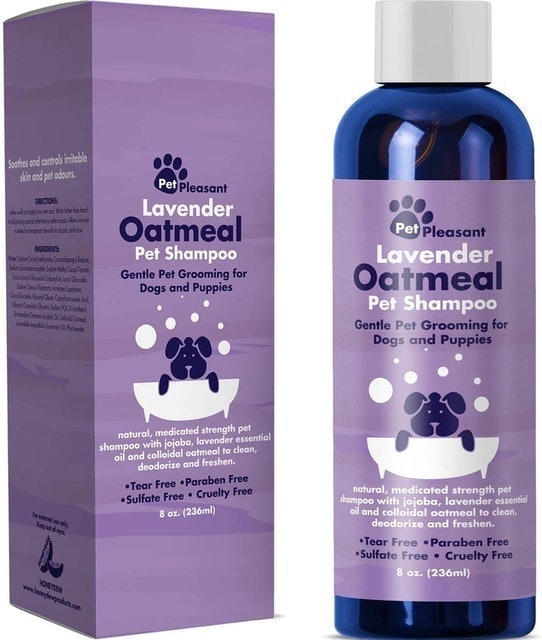 Lavender Oatmeal Pet Shampoo 1