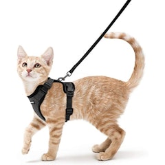 Cat Harness With Leash