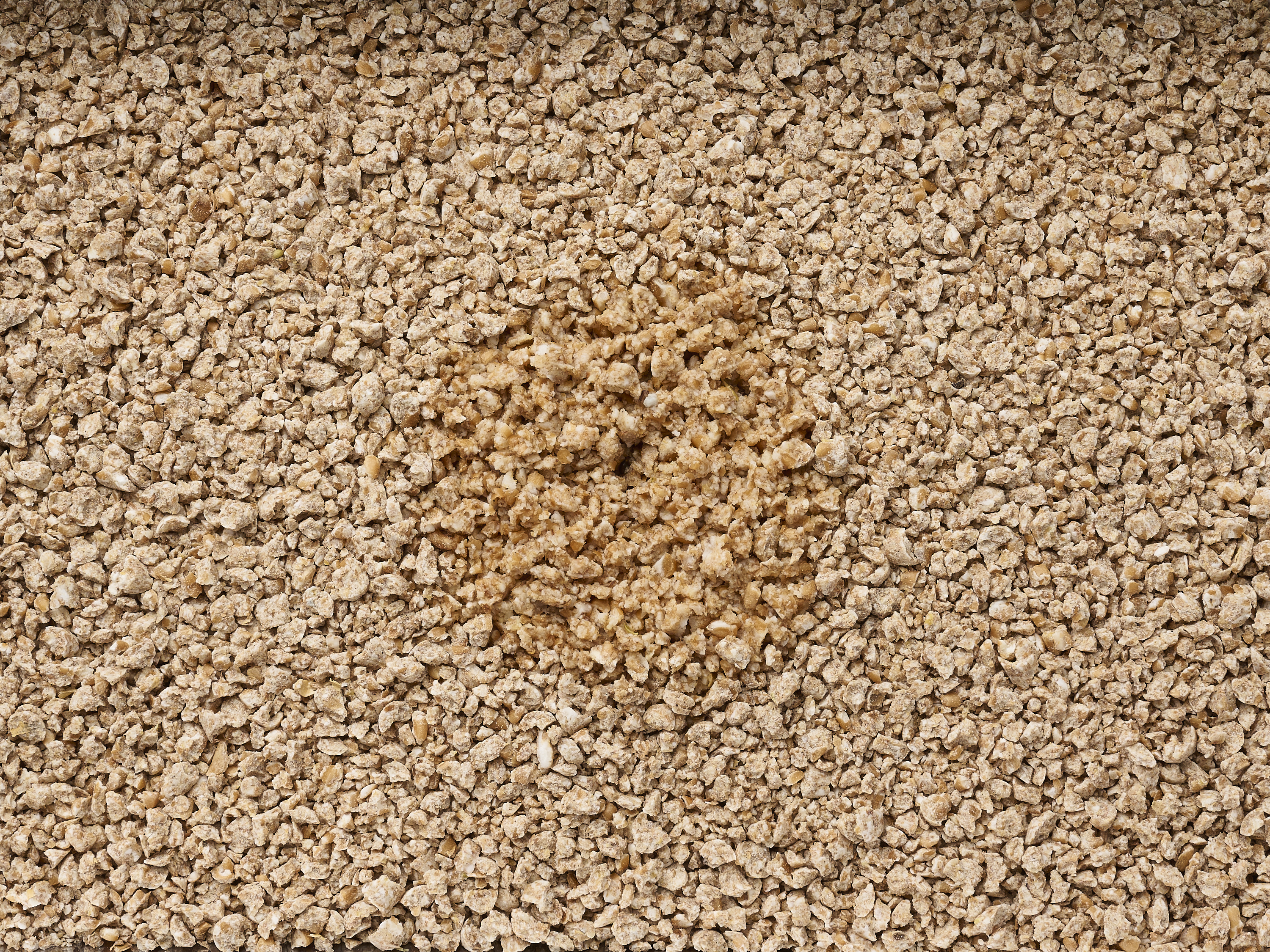 Original Wheat Cat Litter 4