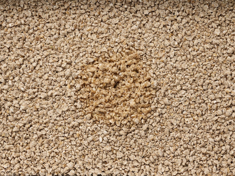 Original Wheat Cat Litter 4