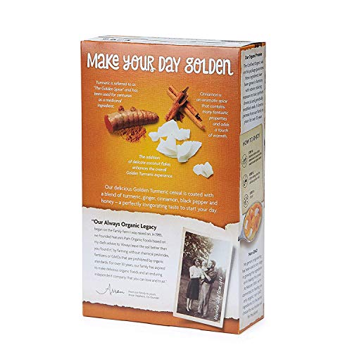 Golden Turmeric Gluten Free Cereal 2