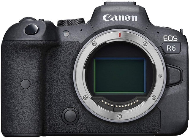 5 Best Mirrorless Cameras for Beginners in 2022 (Concert & Travel Photographer-Reviewed) 1