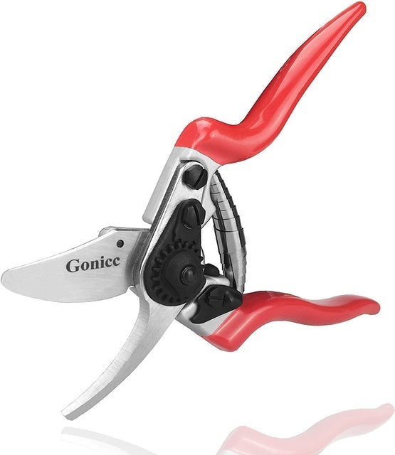 10 Best Pruning Shears in 2022 (Master Gardener-Reviewed) 5