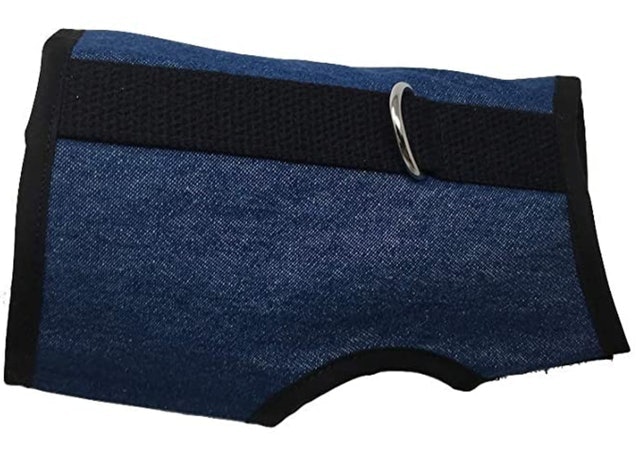 10 Best Cat Harnesses in 2022 (Kitty Holster, rabbitgoo, and More) 4