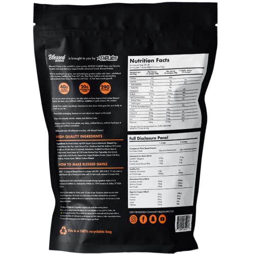 Plant Based Muscle Gainer 2