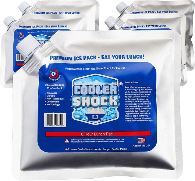 10 Best Ice Packs for Coolers in 2022 (Pelican, Yeti, and More) 1