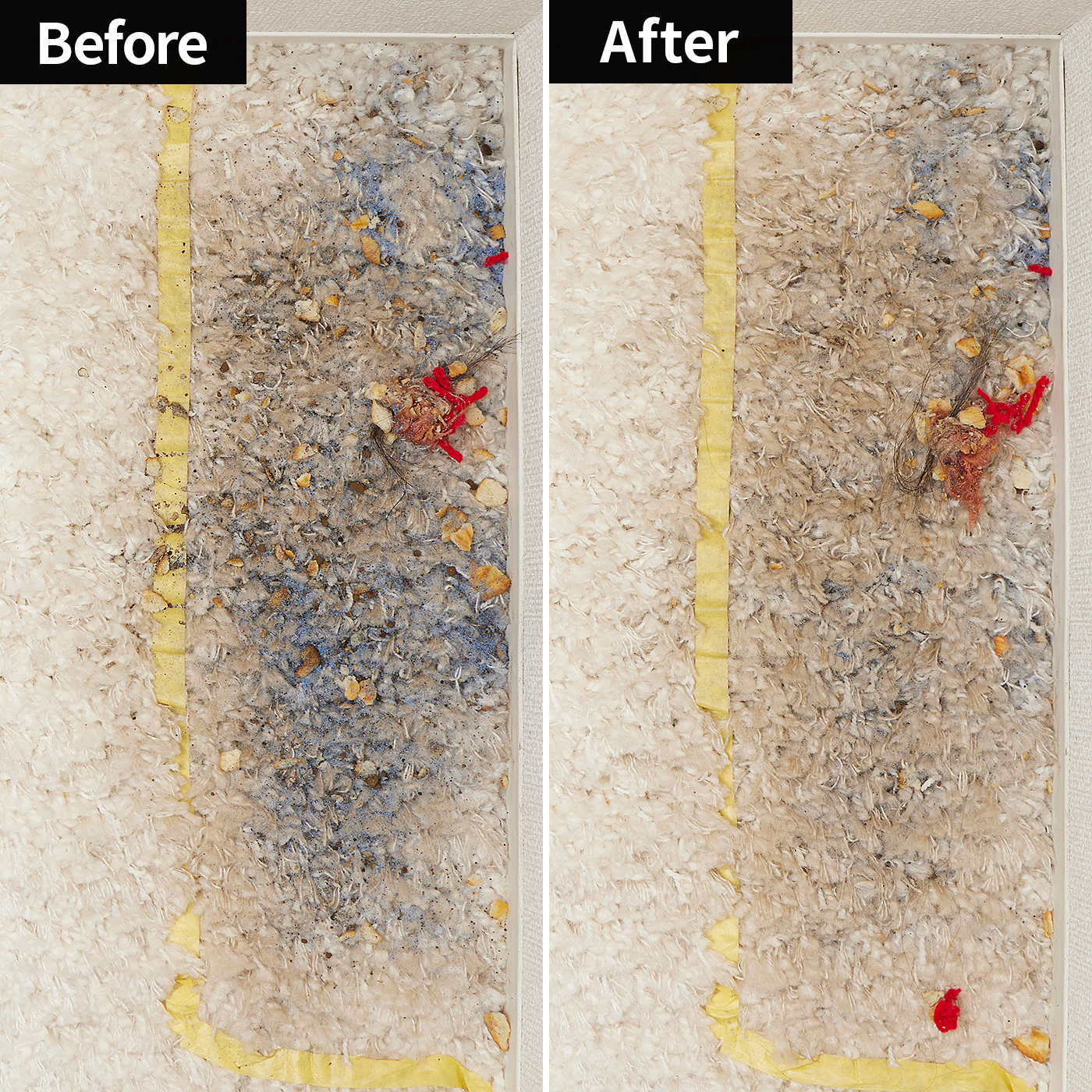 Vertex Bagless Corded Canister Vacuum with DuoClean PowerFins 4