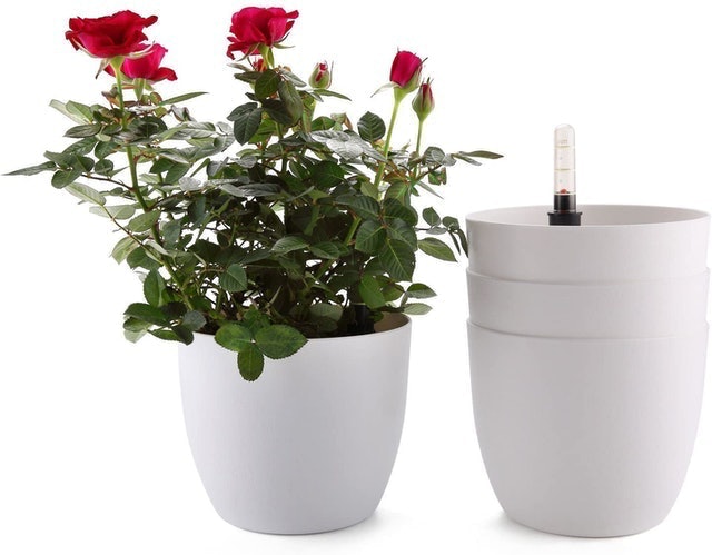 Plastic Self Watering Planter With Water Level Indicator 1