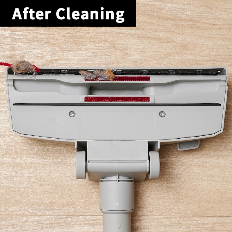 Compact Bagless Canister Vacuum 13