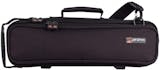 10 Best Flute Cases of 2026 (Sky, Gator, and More) 3