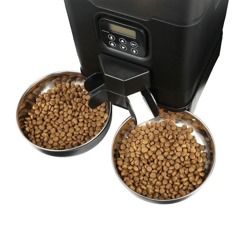 Automatic Cat Feeders for Two Cats 10