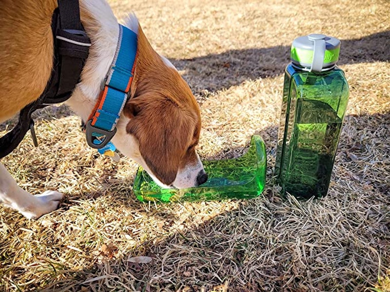 "No Touch" Water Bottle 2
