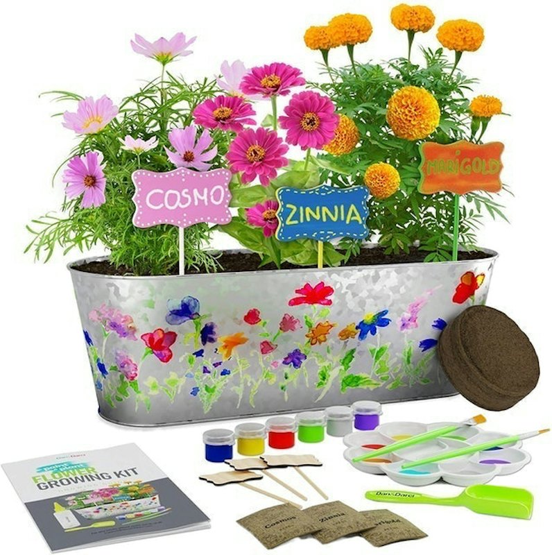 Paint & Plant Flower Growing Kit 1