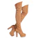 Shoe'N Tale Chunky Heel Thigh High Boots 1