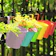 Kinglake Hanging Flower Plant Pots 1