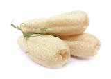 7 Best Eco-Friendly Sponges in 2022 (Environmental Scientist-Reviewed) 1