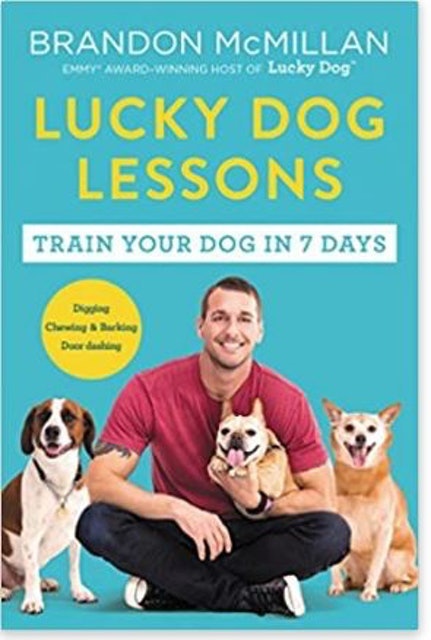 Lucky Dog Lessons 1