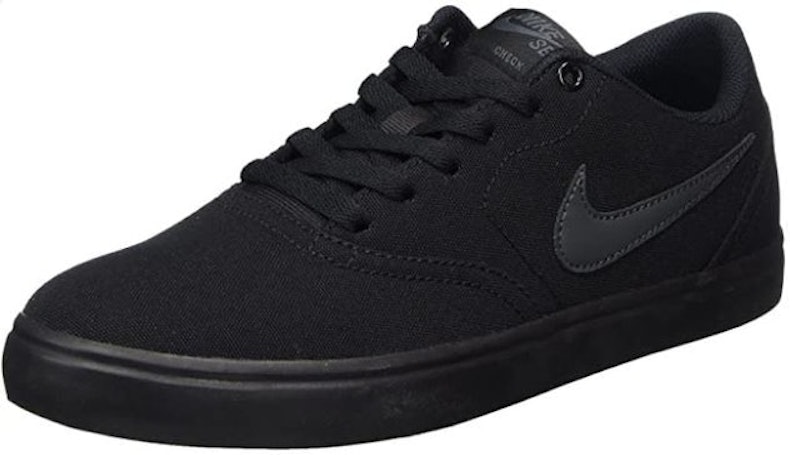 SB Check Solar Skateboarding Shoes 1