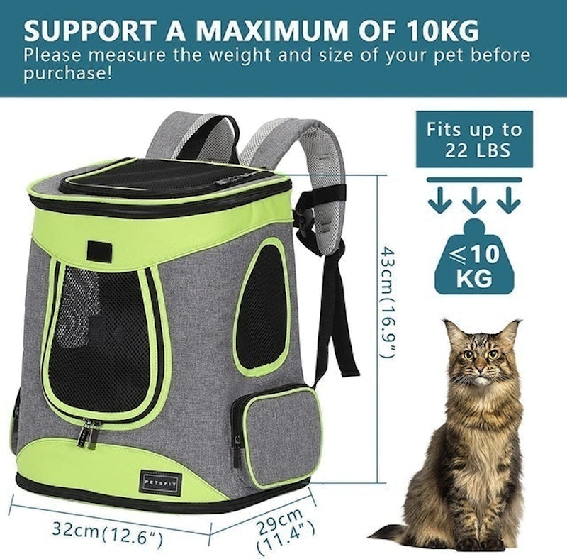 Comfort Dogs Carrier 2