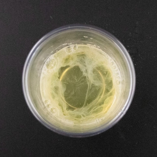 Adenovital Shampoo 4