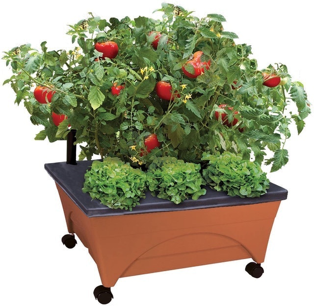 10 Best Hydroponics Kits in 2022 (Master Gardener-Reviewed) 5