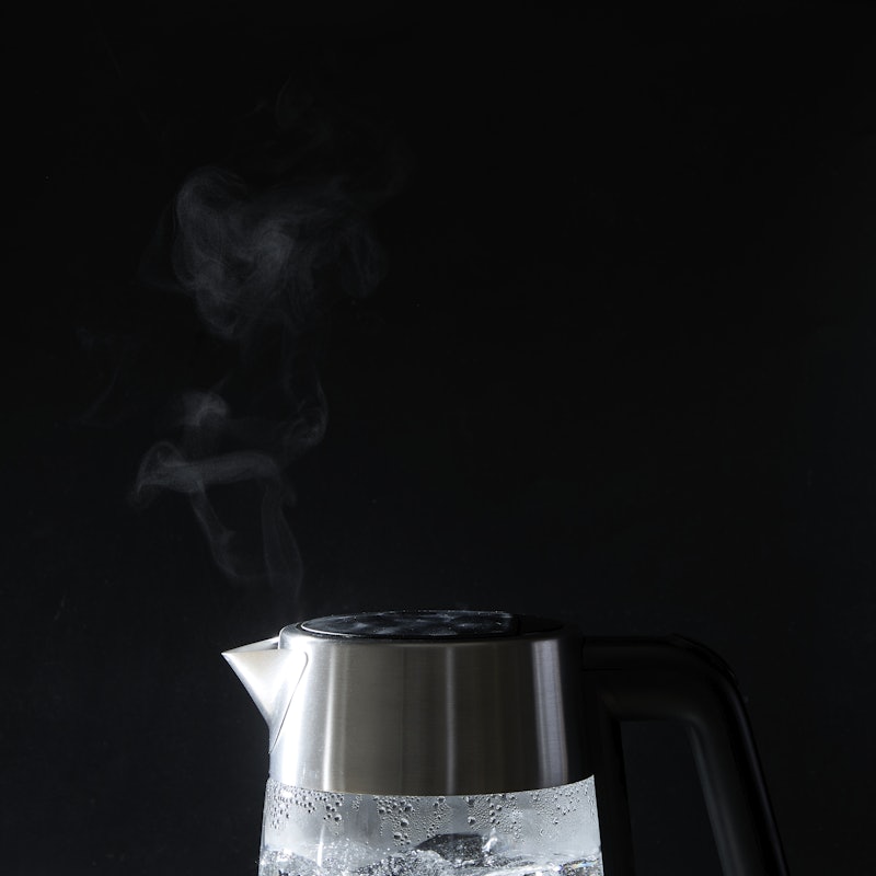 Adjustable Temperature Kettle 5