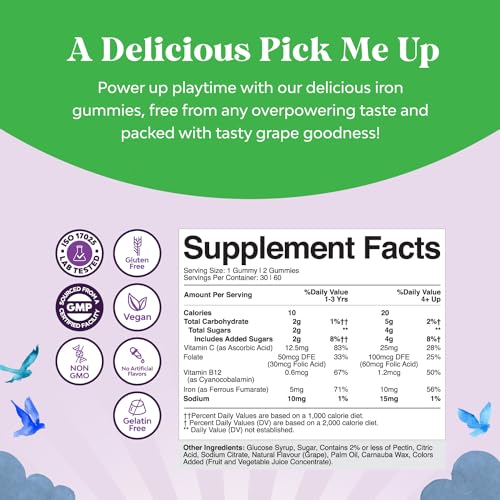 Kids Iron Gummies 2