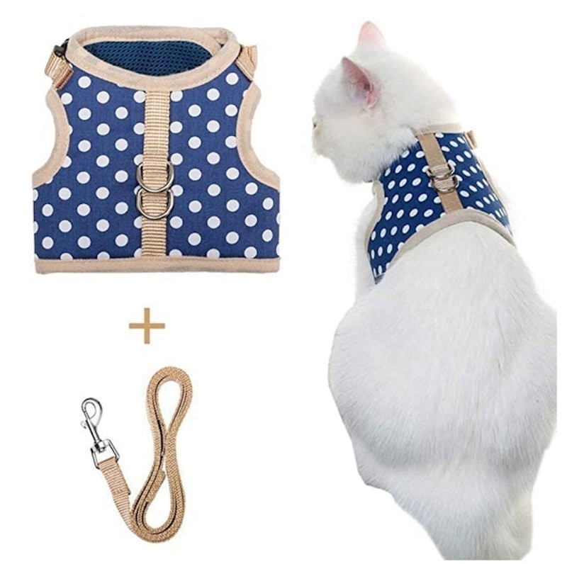 Cat Harness With Leash 1
