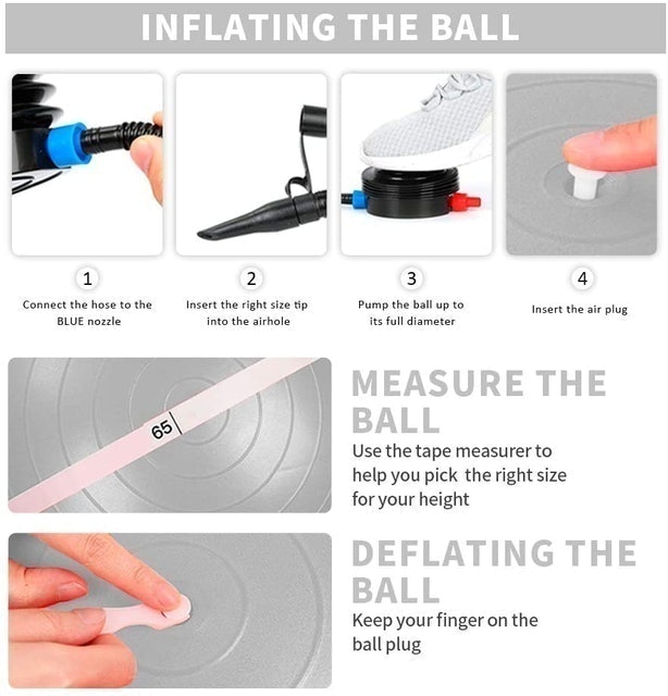 Exercise Ball 3
